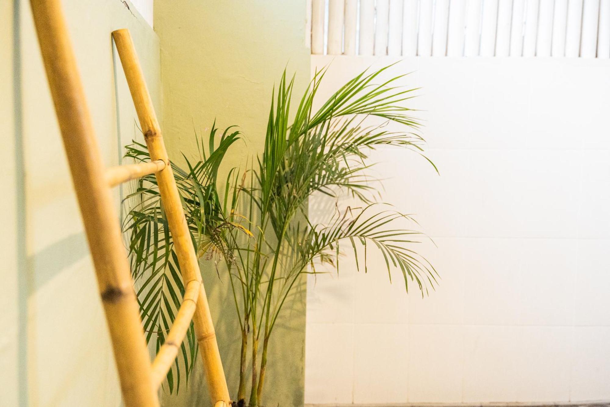 Jungalow Quần đảo Gili Ngoại thất bức ảnh
